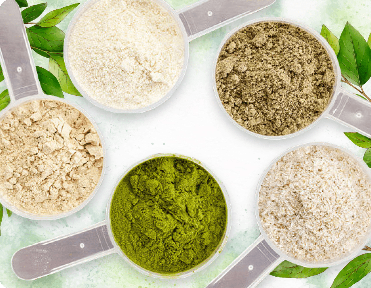 The natural ingredient blend of powders used in ProDentim